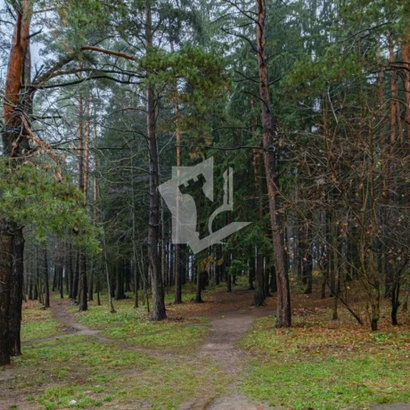 Фотография 1-комнатная квартира по адресу Троицкая ул., д. 35 - фото 20