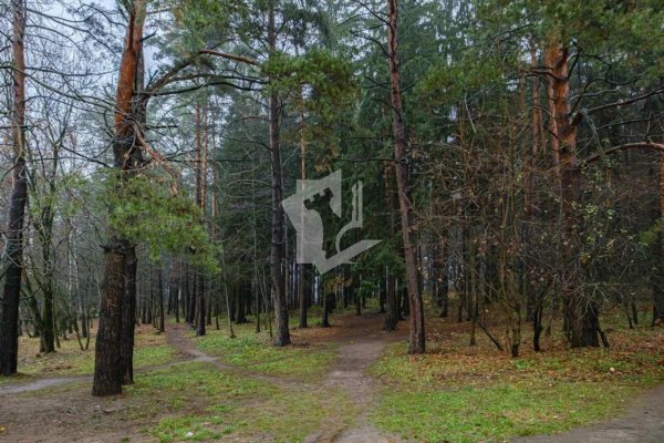 1-комнатная квартира по адресу Троицкая ул., д. 35 - фото 20