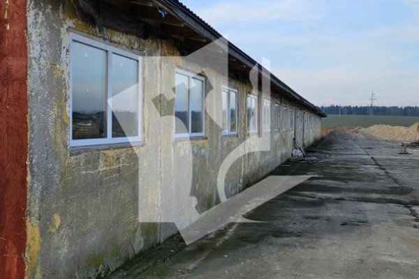 Сдается производственное/складское помещение по адресу д. Аронова Слобода, , - фото 2