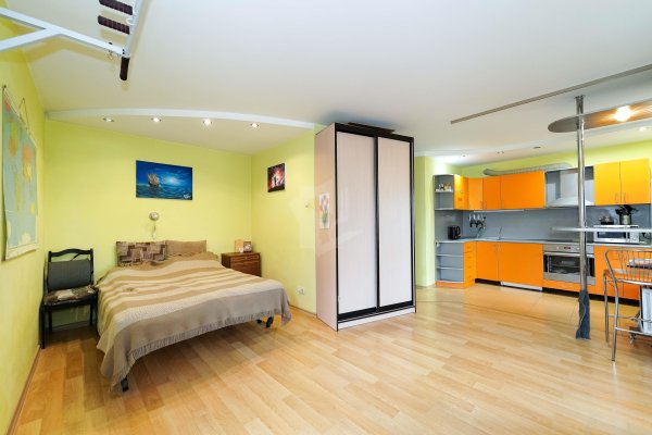 1-комнатная квартира по адресу Голубева ул., д. 16 к. 1 - фото 2
