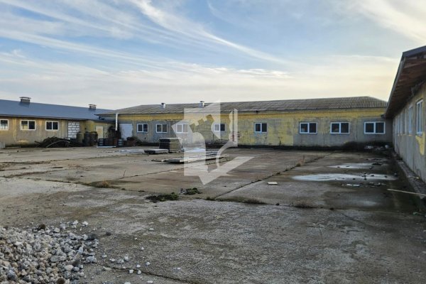 Сдается производственное/складское помещение по адресу д. Аронова Слобода, , - фото 14