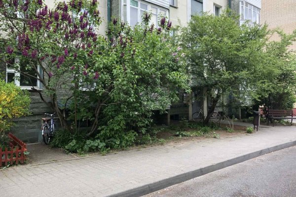 1-комнатная квартира по адресу Грибоедова ул., д. 2 к. А - фото 5