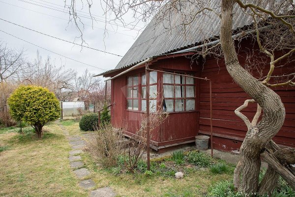 Продается дача с/т. Птичь - фото 6