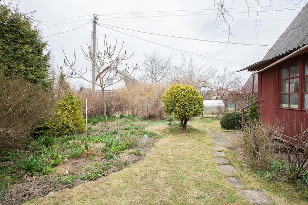 Продается дача с/т. Птичь - фото 9