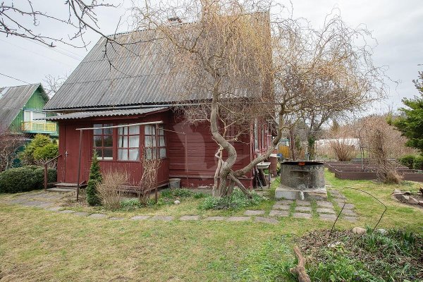 Продается дача с/т. Птичь - фото 10