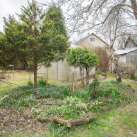 Фотография Продается дача с/т. Птичь - фото 11