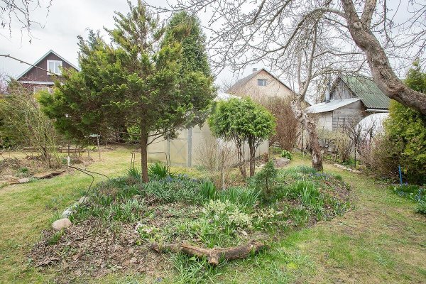 Продается дача с/т. Птичь - фото 11