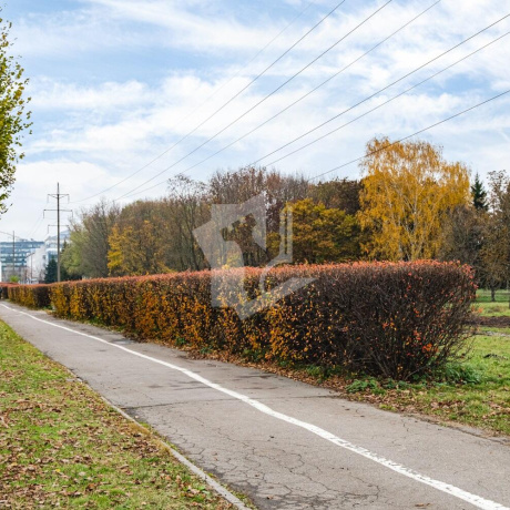 Фотография 2-комнатная квартира по адресу Карастояновой ул., д. 17 - фото 15