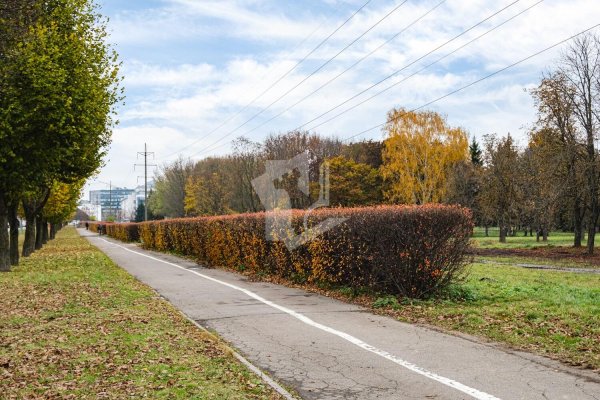 2-комнатная квартира по адресу Карастояновой ул., д. 17 - фото 15