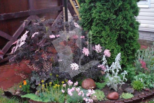 Продается дача с/т. Оптик-Узборье - фото 8