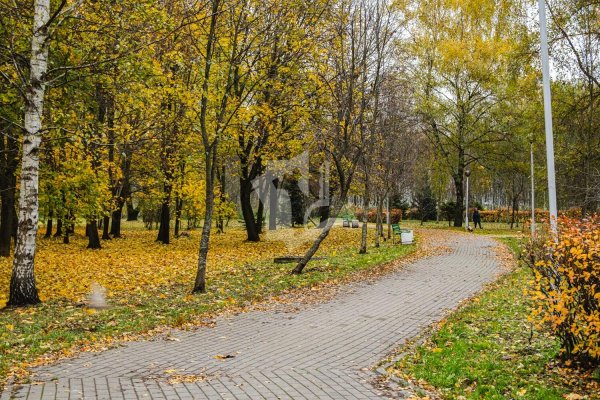 2-комнатная квартира по адресу Карастояновой ул., д. 17 - фото 16