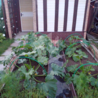 Фотография Продается дача с/т. Оптик-Узборье - фото 10