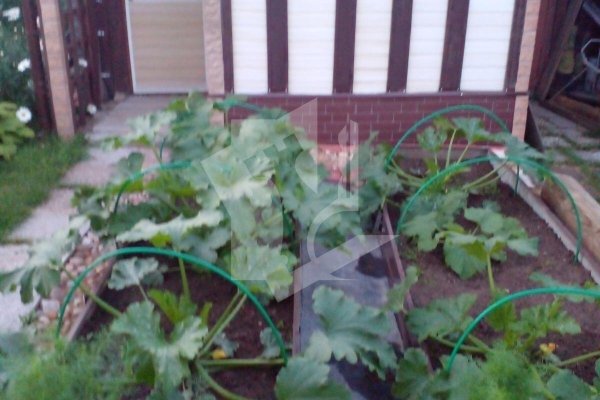 Продается дача с/т. Оптик-Узборье - фото 10