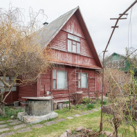 Фотография Продается дача с/т. Птичь - фото 13