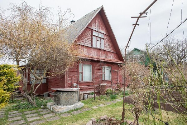 Продается дача с/т. Птичь - фото 13