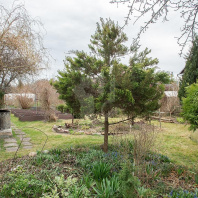 Фотография Продается дача с/т. Птичь - фото 12