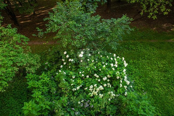 2-комнатная квартира по адресу Ландера ул., д. 66 - фото 14