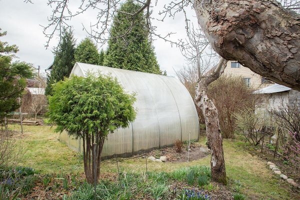 Продается дача с/т. Птичь - фото 15