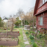 Фотография Продается дача с/т. Птичь - фото 16