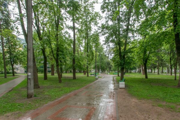 2-комнатная квартира по адресу Восточная ул., д. 38 - фото 17