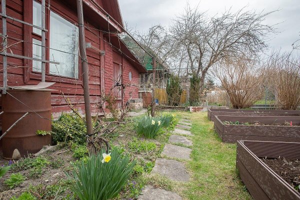 Продается дача с/т. Птичь - фото 17