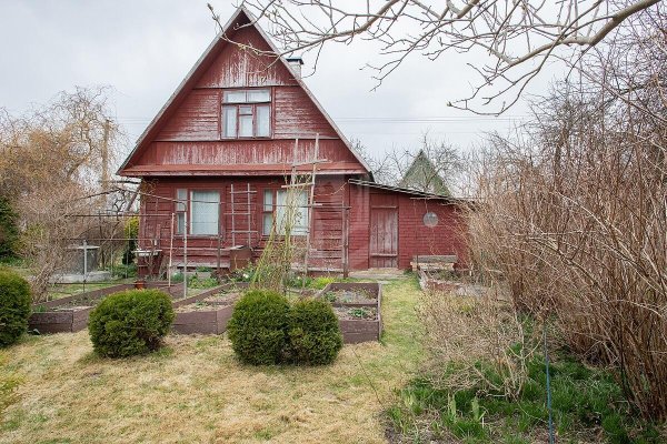 Продается дача с/т. Птичь - фото 18