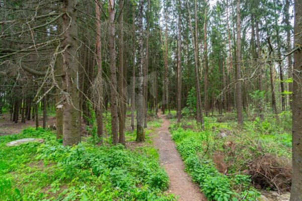 2-комнатная квартира по адресу 40 Лет Победы ул., д. 34 - фото 19