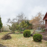 Фотография Продается дача с/т. Птичь - фото 19