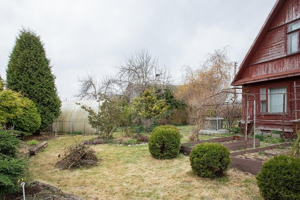 Продается дача с/т. Птичь - фото 19