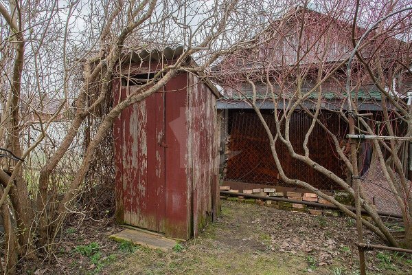 Продается дача с/т. Птичь - фото 20