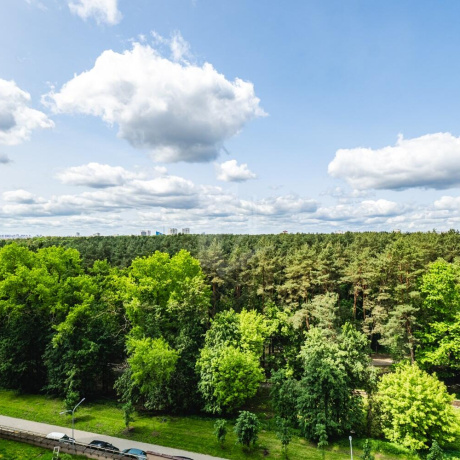Фотография 3-комнатная квартира по адресу Макаенка ул., д. 12 к. Ж - фото 12