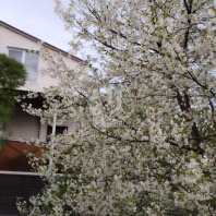 Фотография Продается дом аг. Слобода, Красногвардейская ул. - фото 4