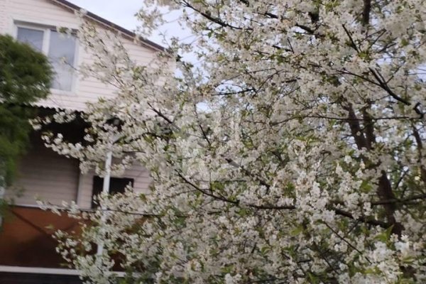 Продается дом аг. Слобода, Красногвардейская ул. - фото 4