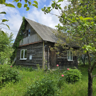 Фотография Продается дача с/т. Спутник Сосны - фото 16