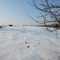 Фотография Продается дом д. Стукатичи, Белорусская ул. - фото 6