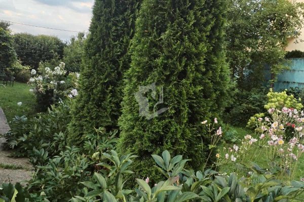 Продается дом аг. Слобода, Красногвардейская ул. - фото 8