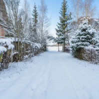 Фотография Продается дача с/т. Пчелка-5 - фото 18