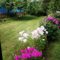 Фотография Продается дом аг. Слобода, Красногвардейская ул. - фото 9