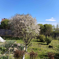 Фотография Продается дом аг. Слобода, Красногвардейская ул. - фото 10