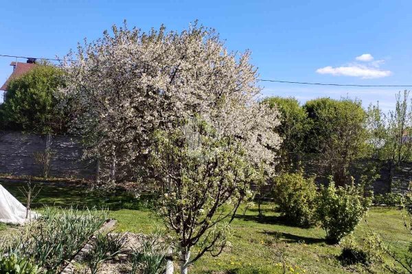 Продается дом аг. Слобода, Красногвардейская ул. - фото 10