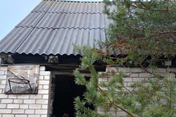 Продается участок с/т. Эффект - фото 2