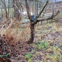 Фотография Продается участок с/т. Эффект - фото 11