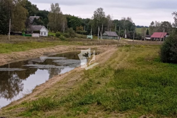 Продается торговое помещение по адресу Лошанский с/с, , - фото 5