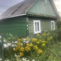 Фотография Продается дача д. Осово - фото 2