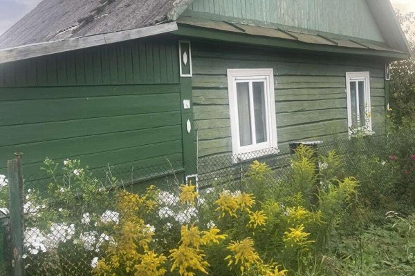Продается дача д. Осово - фото 2