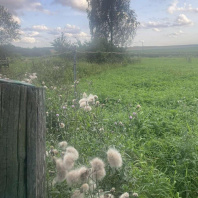 Фотография Продается дача д. Осово - фото 3