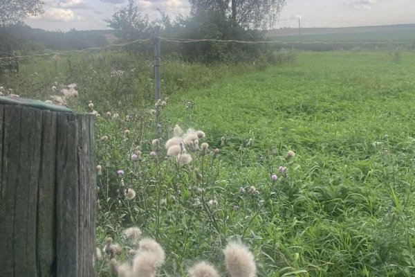 Продается дача д. Осово - фото 3