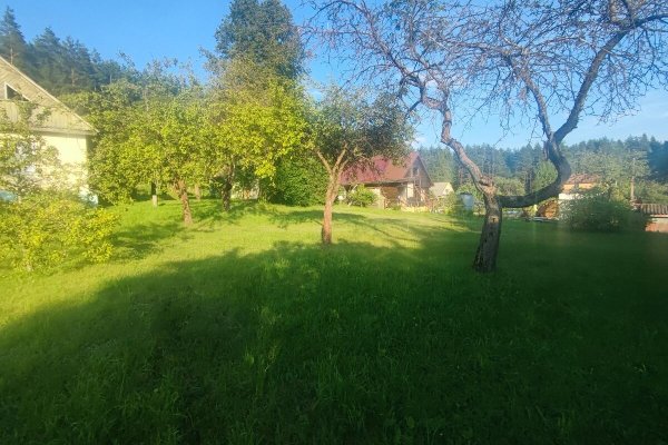 Продается дом д. Зеленая, Привокзальная ул. - фото 3