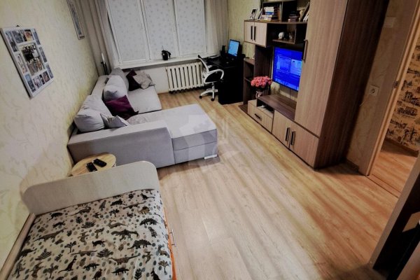 1-комнатная квартира по адресу Пушкина просп., д. 25 - фото 4