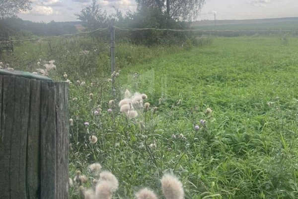 Продается дом д. Осово - фото 4